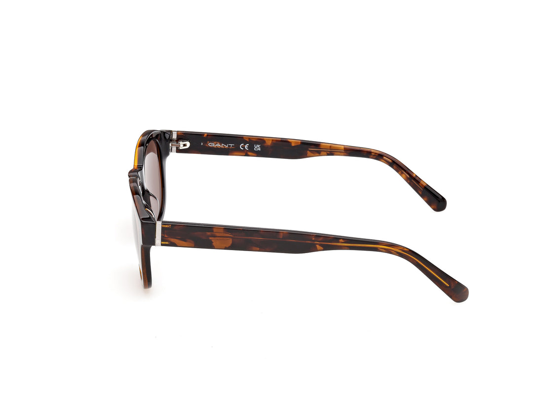 Sunglasses gant ga00043 52e havana round masculino size 49mm - Detailed view