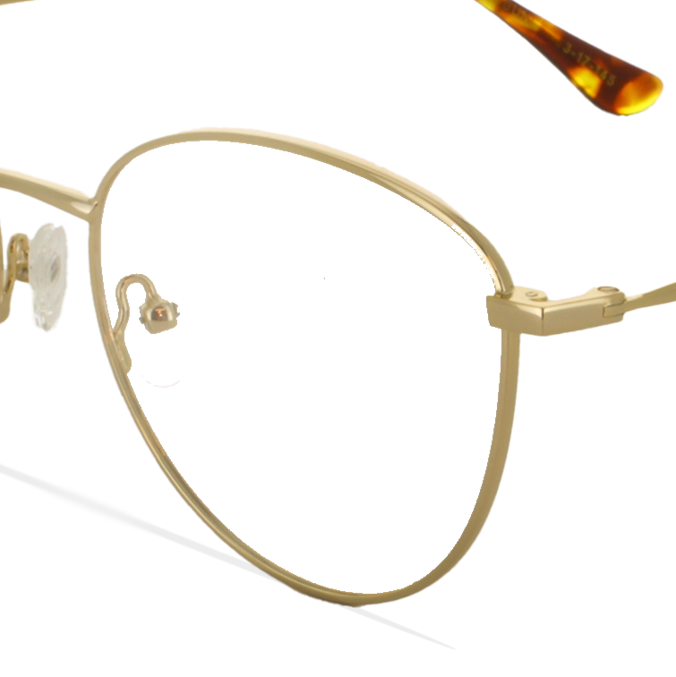 GREYHOUNDERS HATSUNE GOLD 53