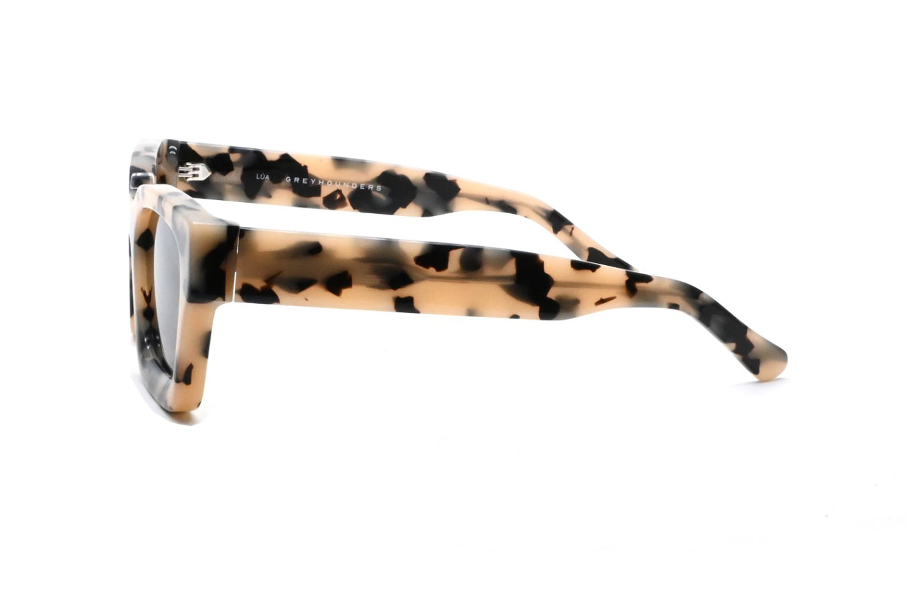 GREYHOUNDERS LUA C5 HAVANA 54