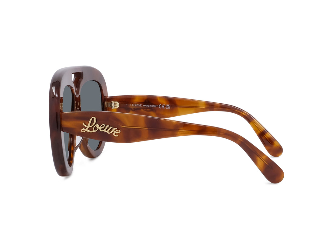 Occhiali da sole loewe curvy lw40144u 53v havana pilot masculino taglia 55mm - Vista dettagliata