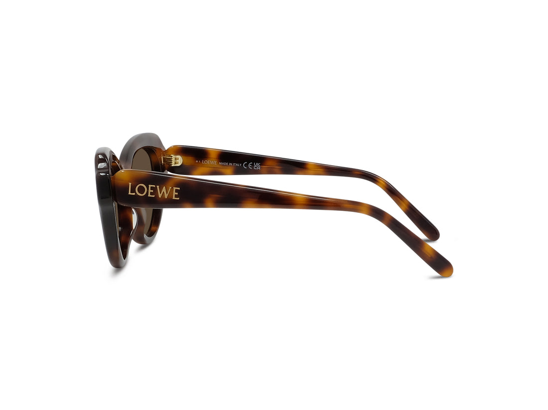 Óculos de sol loewe slim lw40178i 52e havana geometric femenino tamanho 53mm - Vista de detalhe
