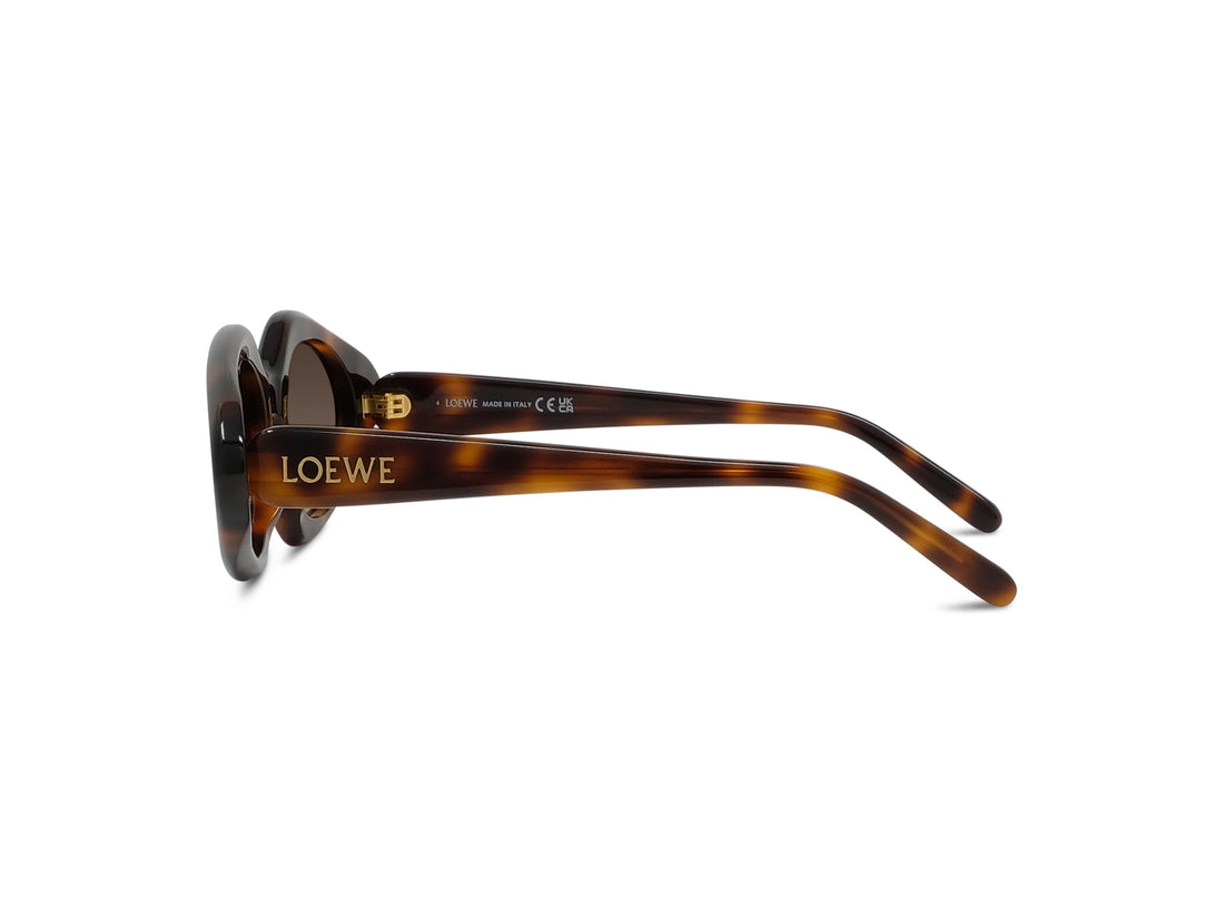 Óculos de sol loewe slim lw40185i 52f havana geometric femenino tamanho 50mm - Vista de detalhe
