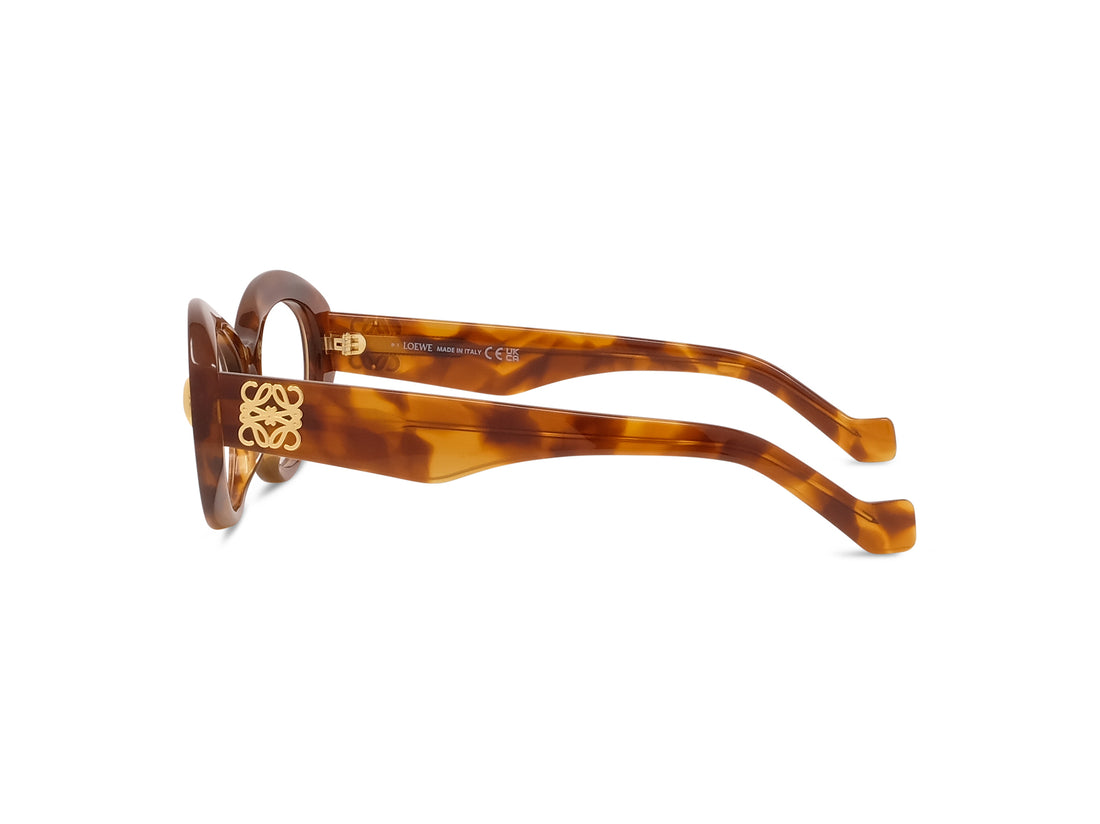 Prescription glasses loewe anagram lw50090i 053 havana oval femenino size 52mm - Detailed view