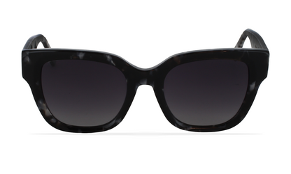 GREYHOUNDERS LYRA BLACK HAVANA 52
