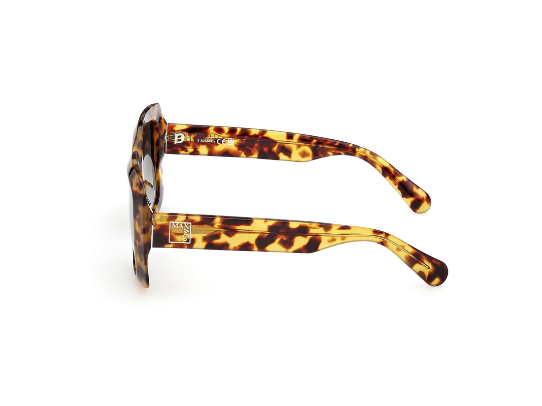 Sunglasses max &co mo0153 53p havana square femenino size 52mm - Detailed view