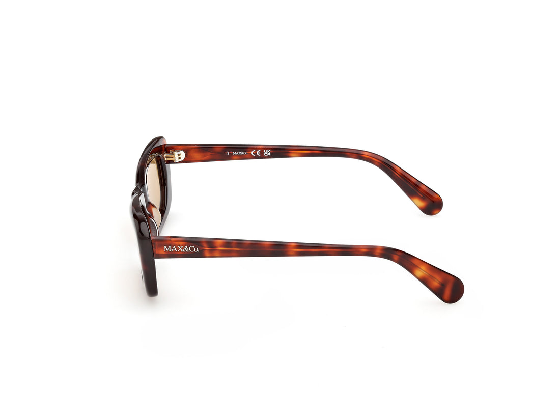 Sunglasses max &co mo0154 52j havana butterfly femenino size 52mm - Detailed view