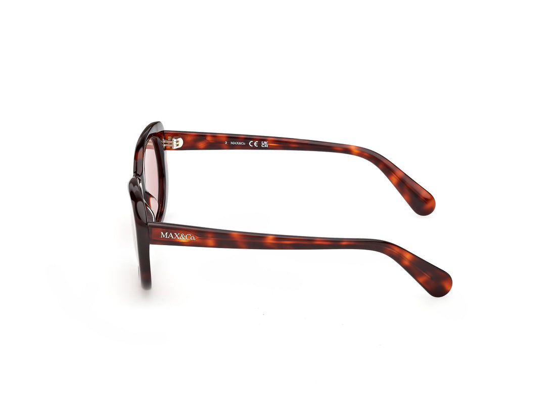 Occhiali da sole max &co mo0155 52s havana butterfly femenino taglia 54mm - Vista dettagliata