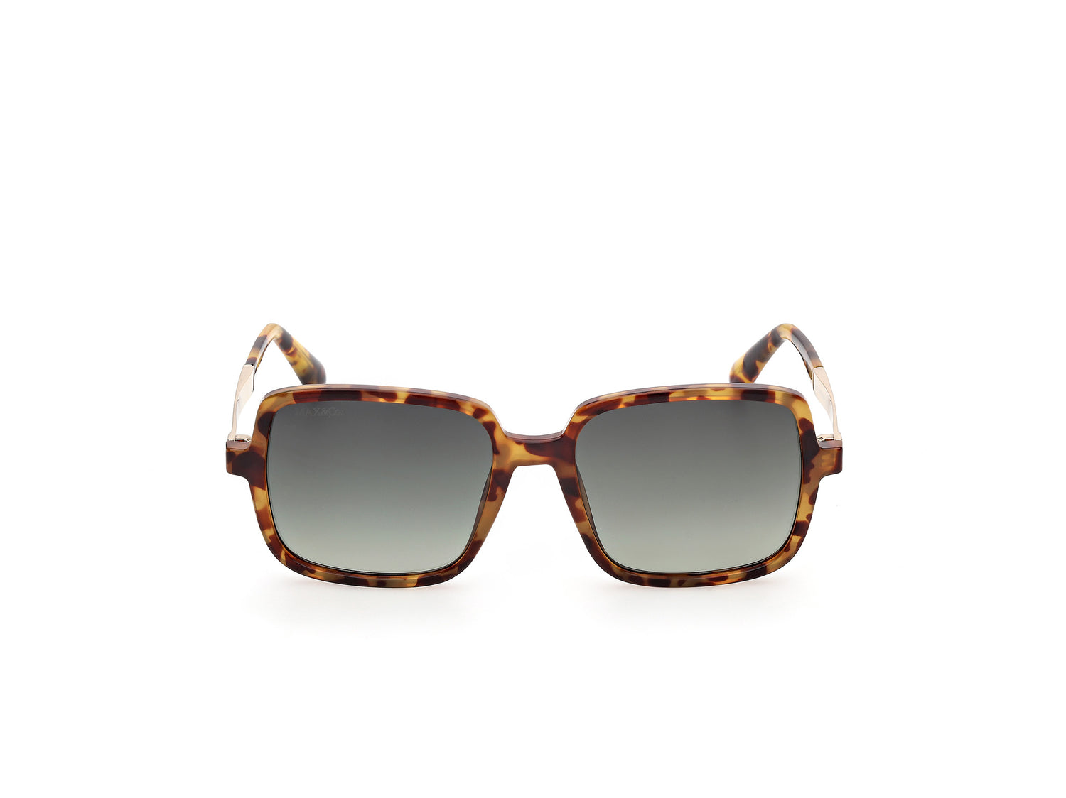 MAX &amp;CO MO0164 53P 53