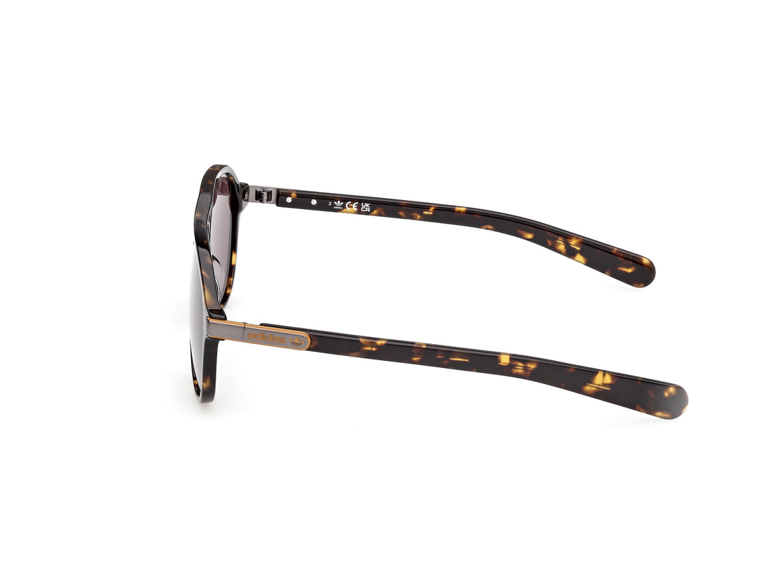 Sunglasses adidas originals or0136 52e havana pilot masculino size 58mm - Detailed view