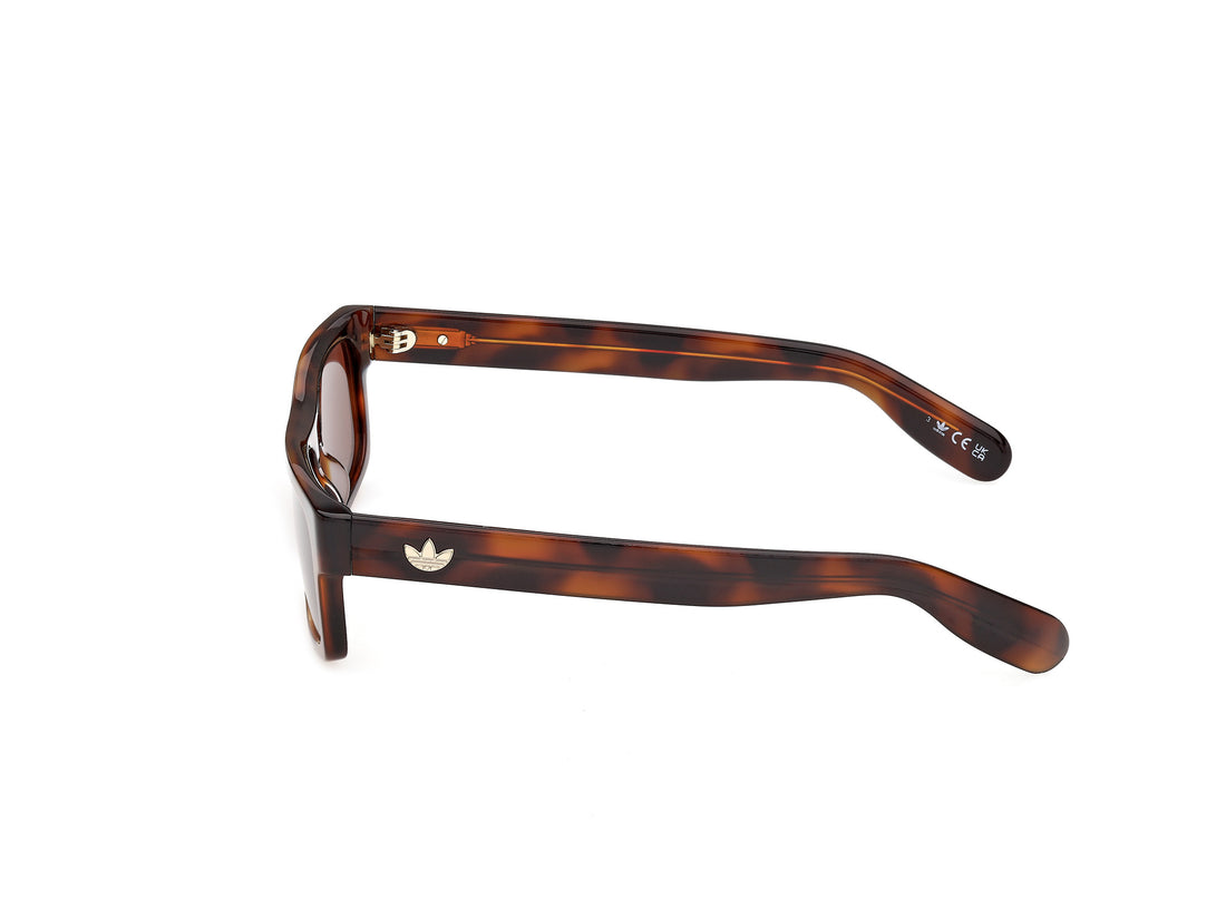 Sunglasses adidas originals or0145 52e havana rectangular unisex size 55mm - Detailed view