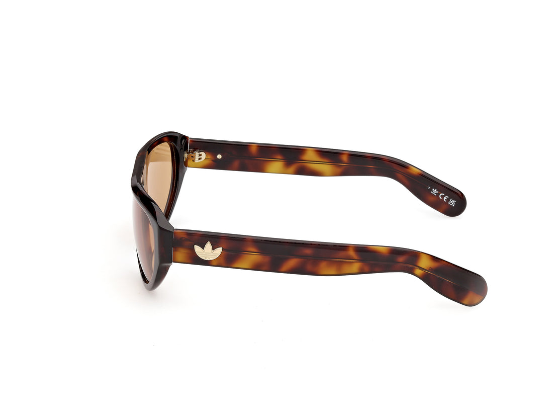 Sunglasses adidas originals or0146 53e havana pilot unisex size 57mm - Detailed view