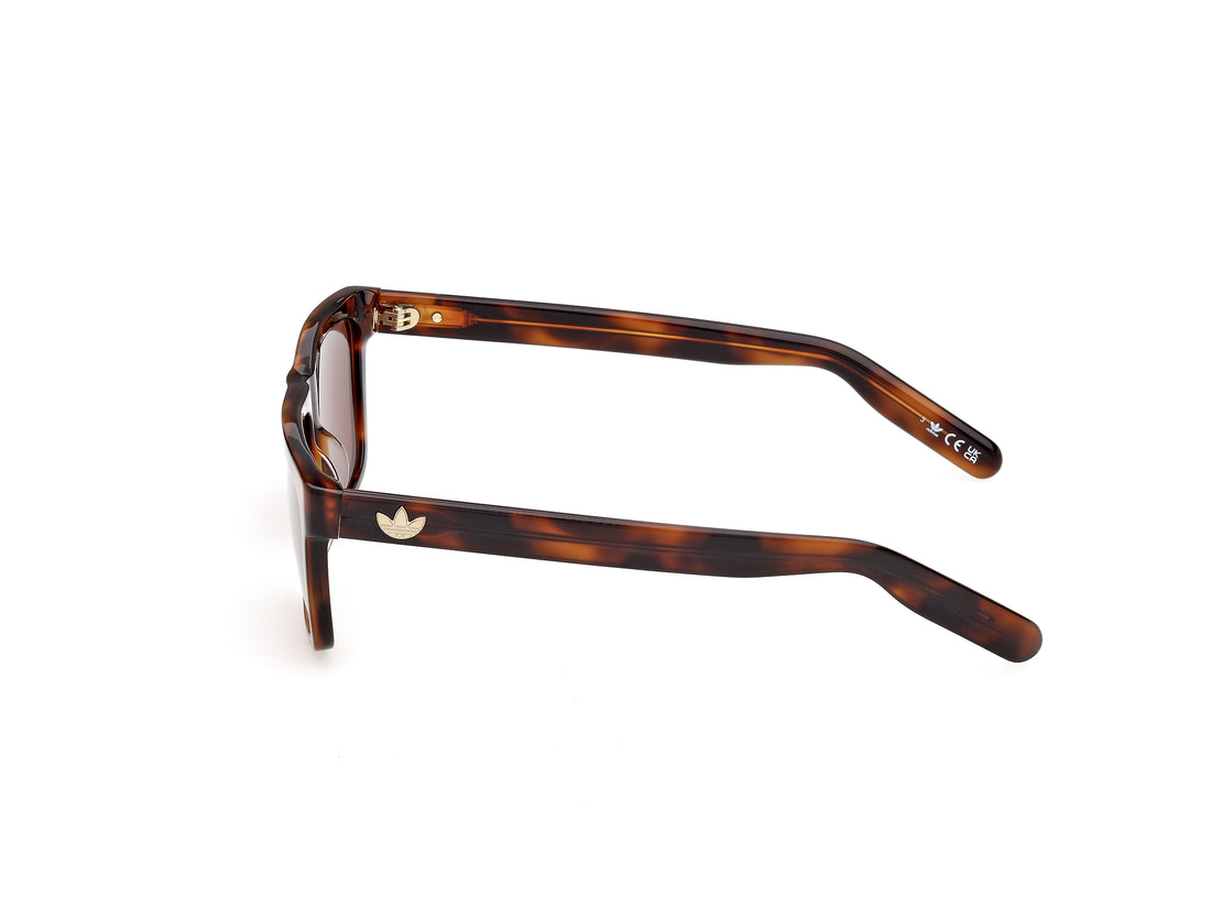 Sunglasses adidas originals or0147 52e havana square unisex size 56mm - Detailed view