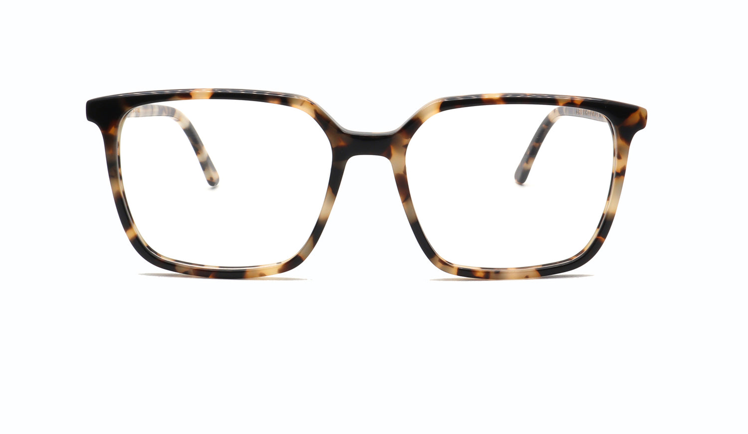 GREYHOUNDERS QUINN C2 54