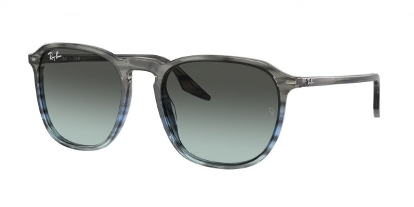 RAY-BAN RB2203 1391GK 52