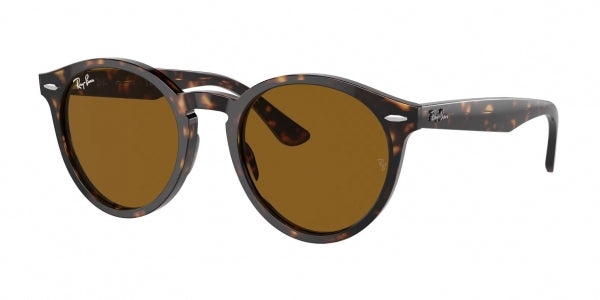 RAY-BAN RB7680S LARRY 902/33 49