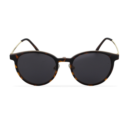 GREYHOUNDERS RODAS + CLIP-ON HAVANA 50