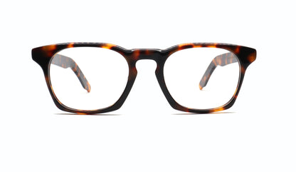 GREYHOUNDERS SIMON C1 51