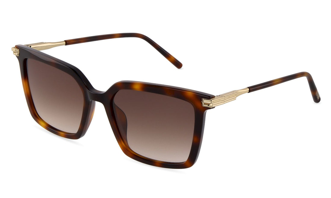 Zonnebrillen tous stod59 0752 havana square femenino maat 54mm - Hoofdaanzicht