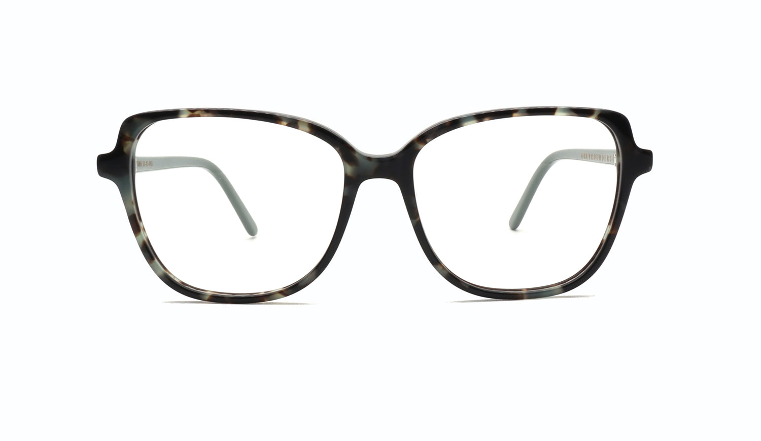 GREYHOUNDERS TINA C2 53