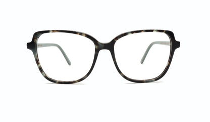 GREYHOUNDERS TINA C2 53