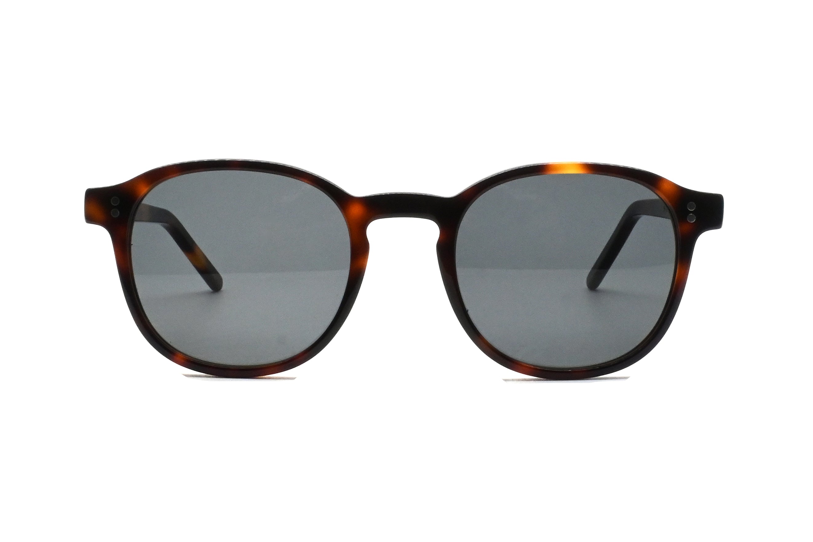 GREYHOUNDERS VINCENT SUN C3 HAVANA BROWN 48