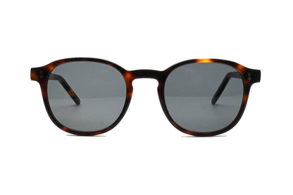 GREYHOUNDERS VINCENT SUN C3 HAVANA BROWN 48