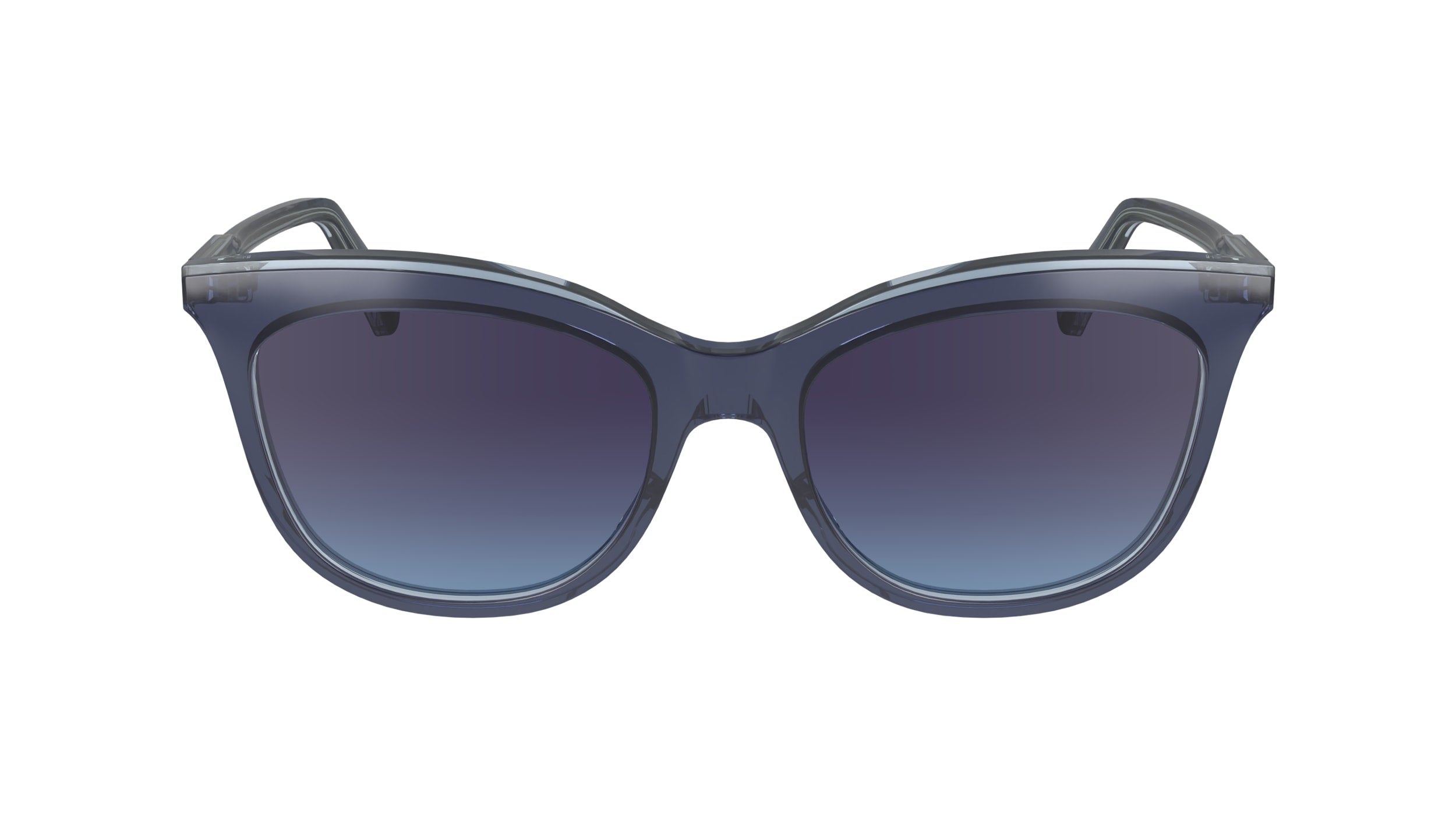 LONGCHAMP LO738S 405 53