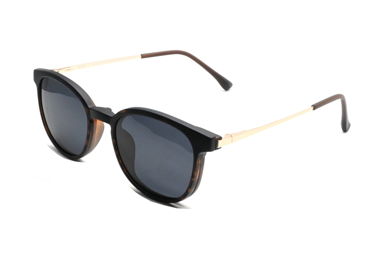 GREYHOUNDERS BONDI + CLIP-ON C2 HAVANA 51