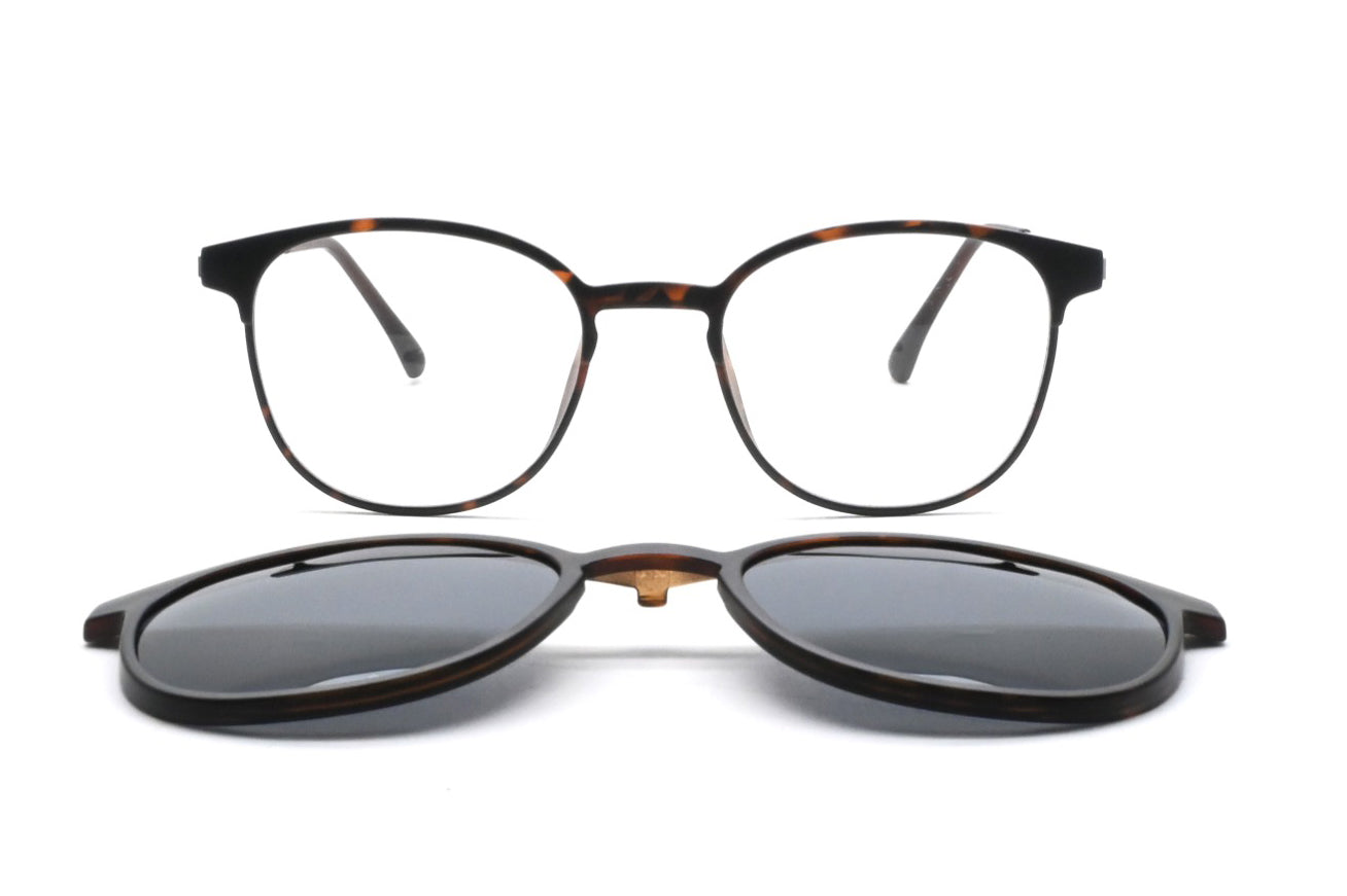 GREYHOUNDERS BONDI + CLIP-ON C2 HAVANA 51