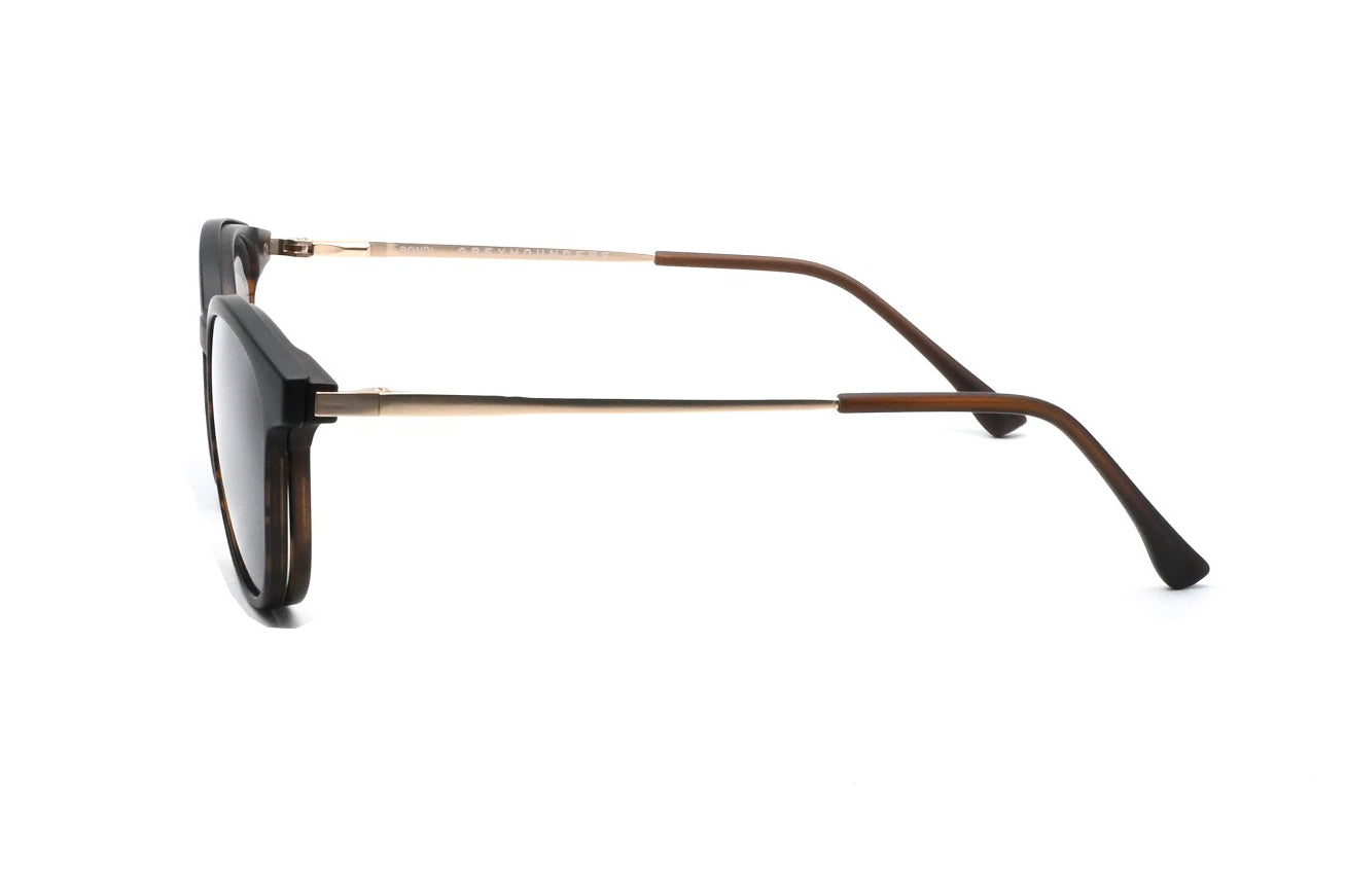 GREYHOUNDERS BONDI + CLIP-ON C2 HAVANA 51