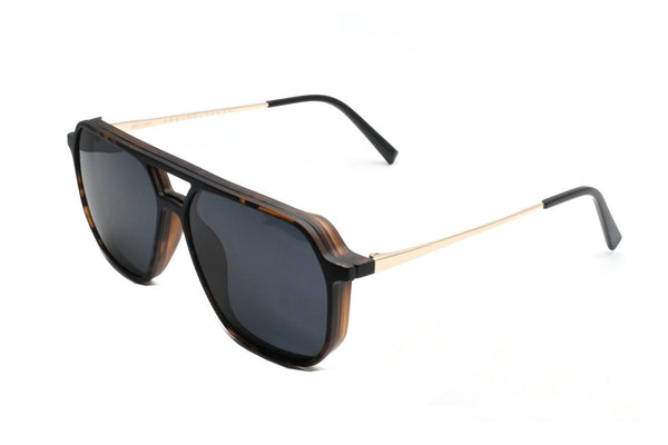GREYHOUNDERS BROOME + CLIP-ON C2 HAVANA 56