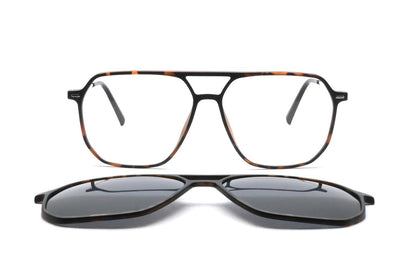 GREYHOUNDERS BROOME + CLIP-ON C2 HAVANA 56