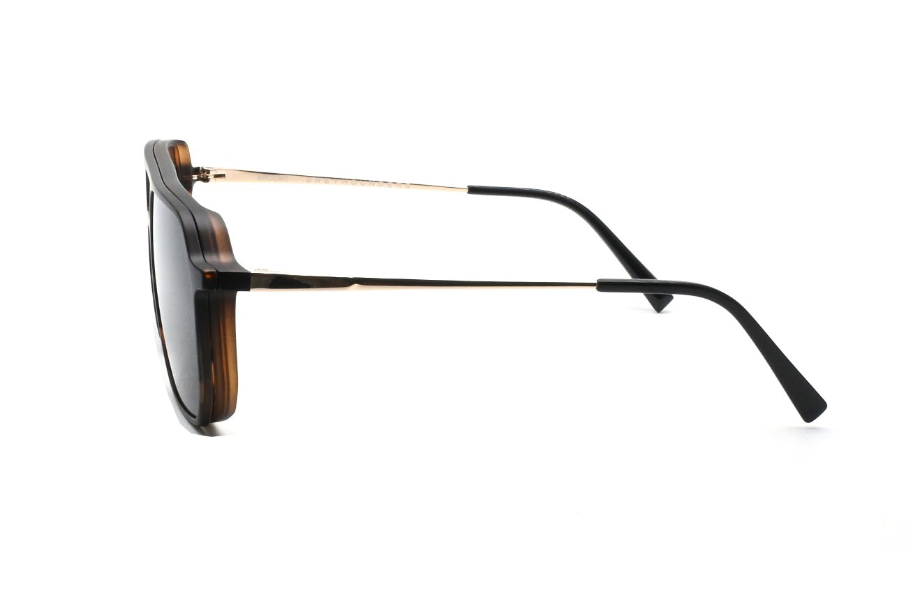 GREYHOUNDERS BROOME + CLIP-ON C2 HAVANA 56