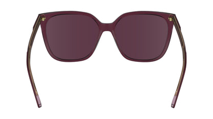 CALVIN KLEIN CK24509S 613 56