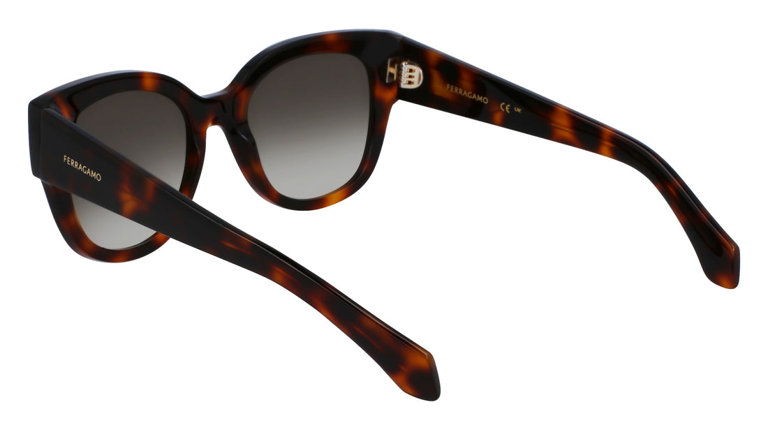 FERRAGAMO SF2007S 240 51