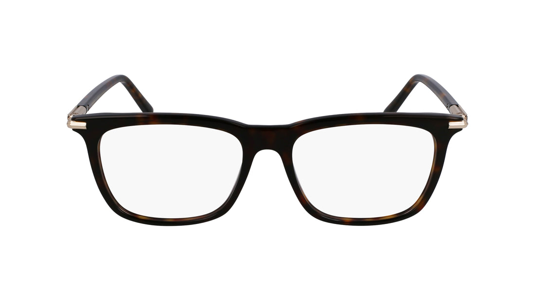 FERRAGAMO SF3007 242 56