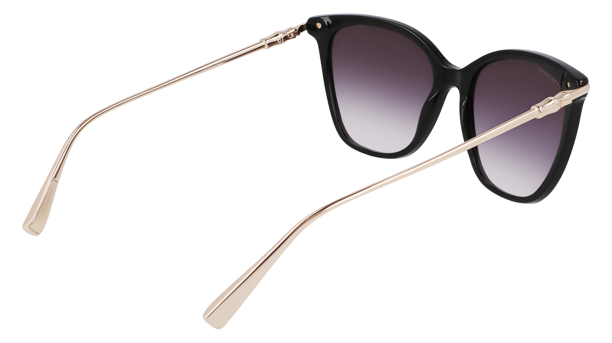 LONGCHAMP LO757S 001 55