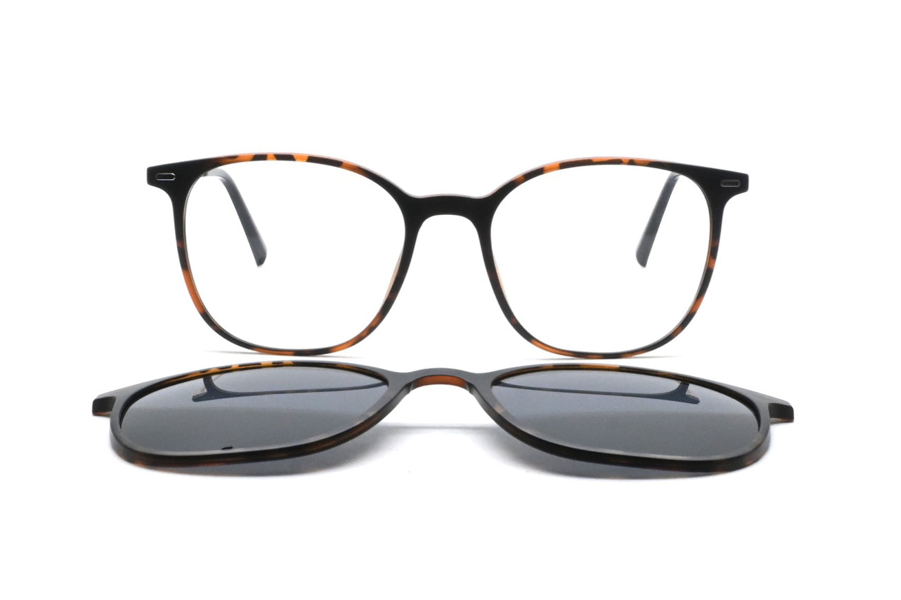 GREYHOUNDERS KILDA + CLIP-ON C2 HAVANA 52