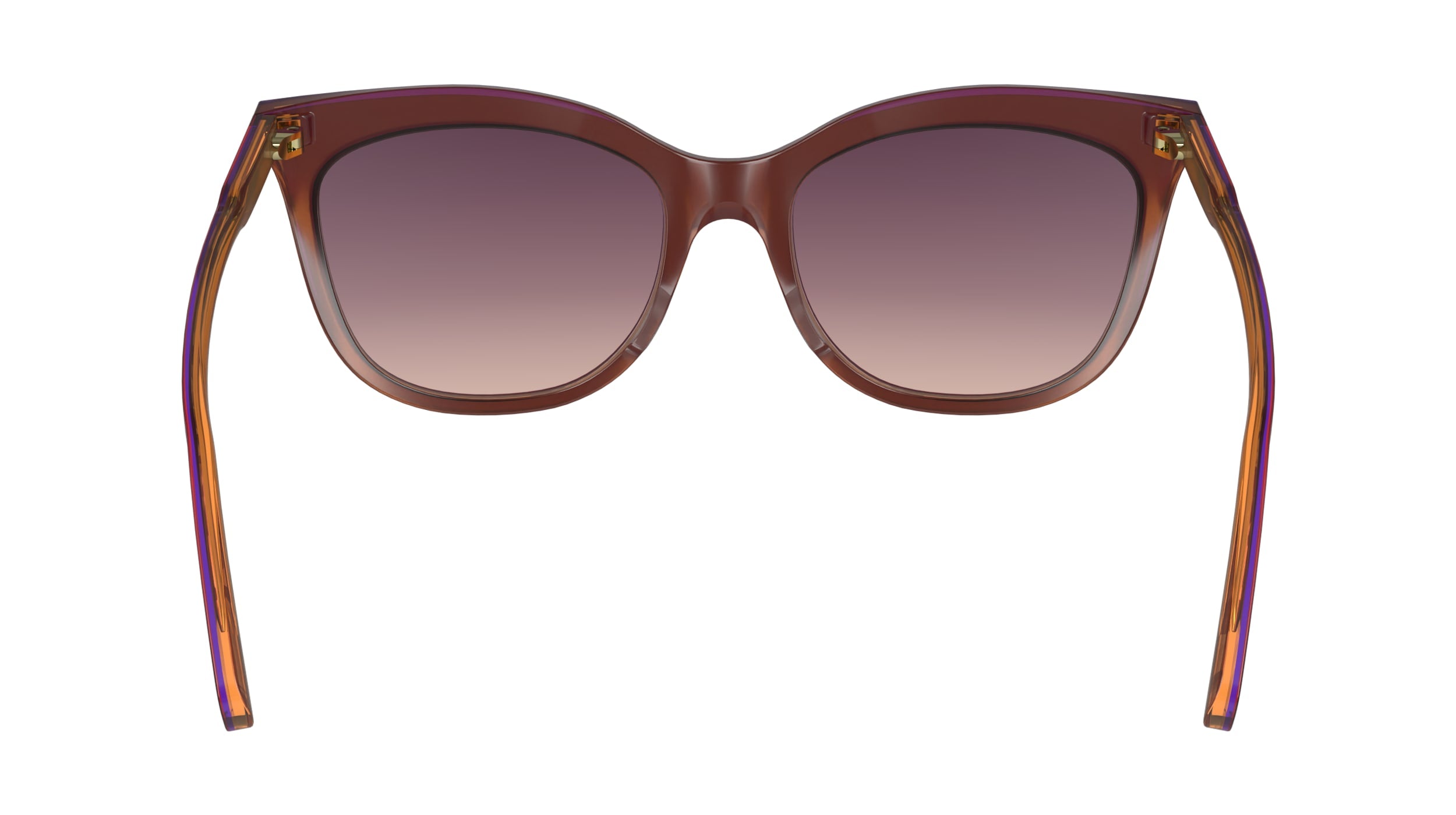 LONGCHAMP LO738S 681 53