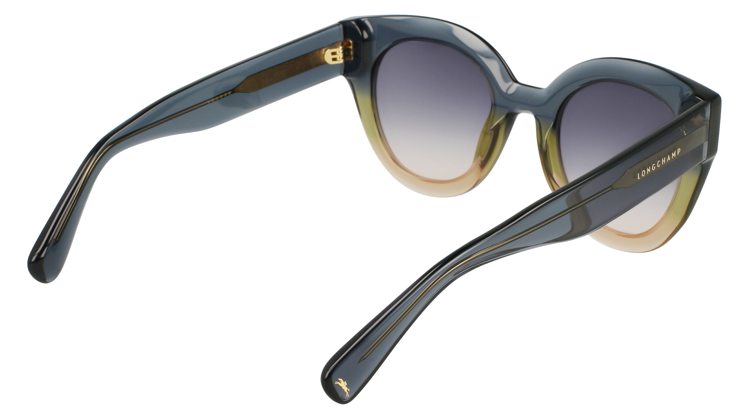 LONGCHAMP LO750S 434 49