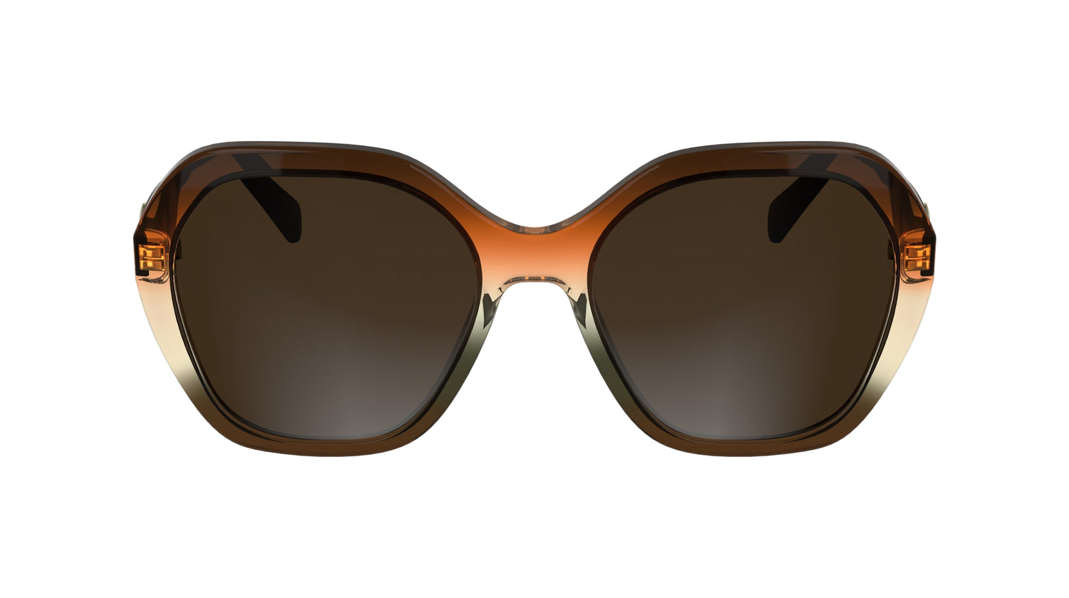 LONGCHAMP LO759S 209 54