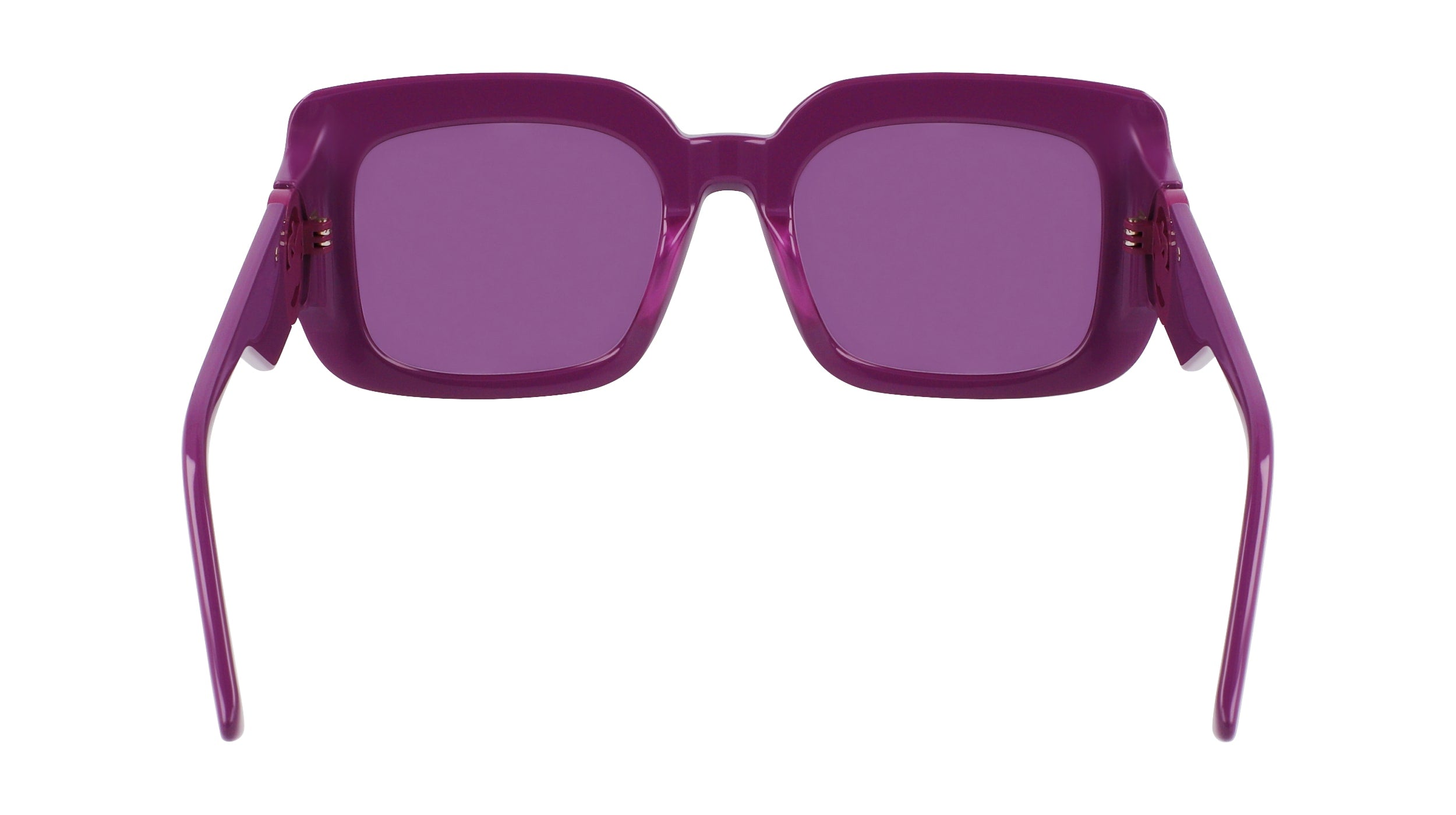 LONGCHAMP LO753S 500 51