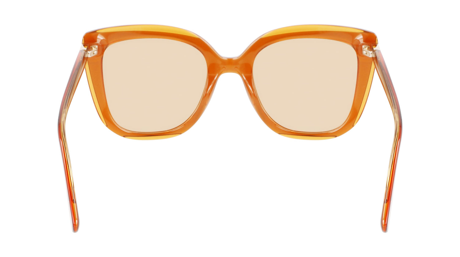 LONGCHAMP LO689S 744 53