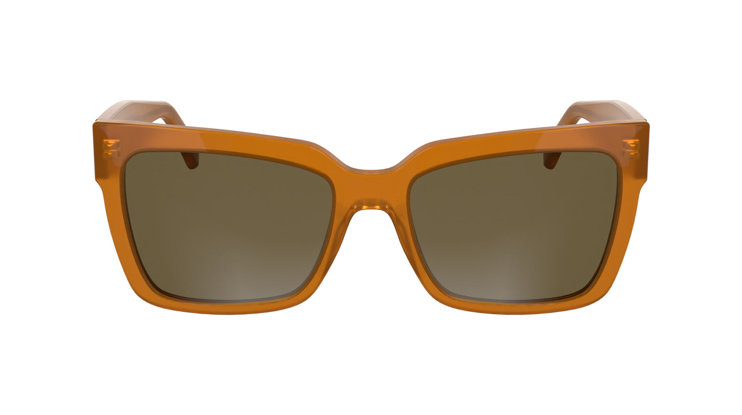 CALVIN KLEIN JEANS CKJ24606S 201 54