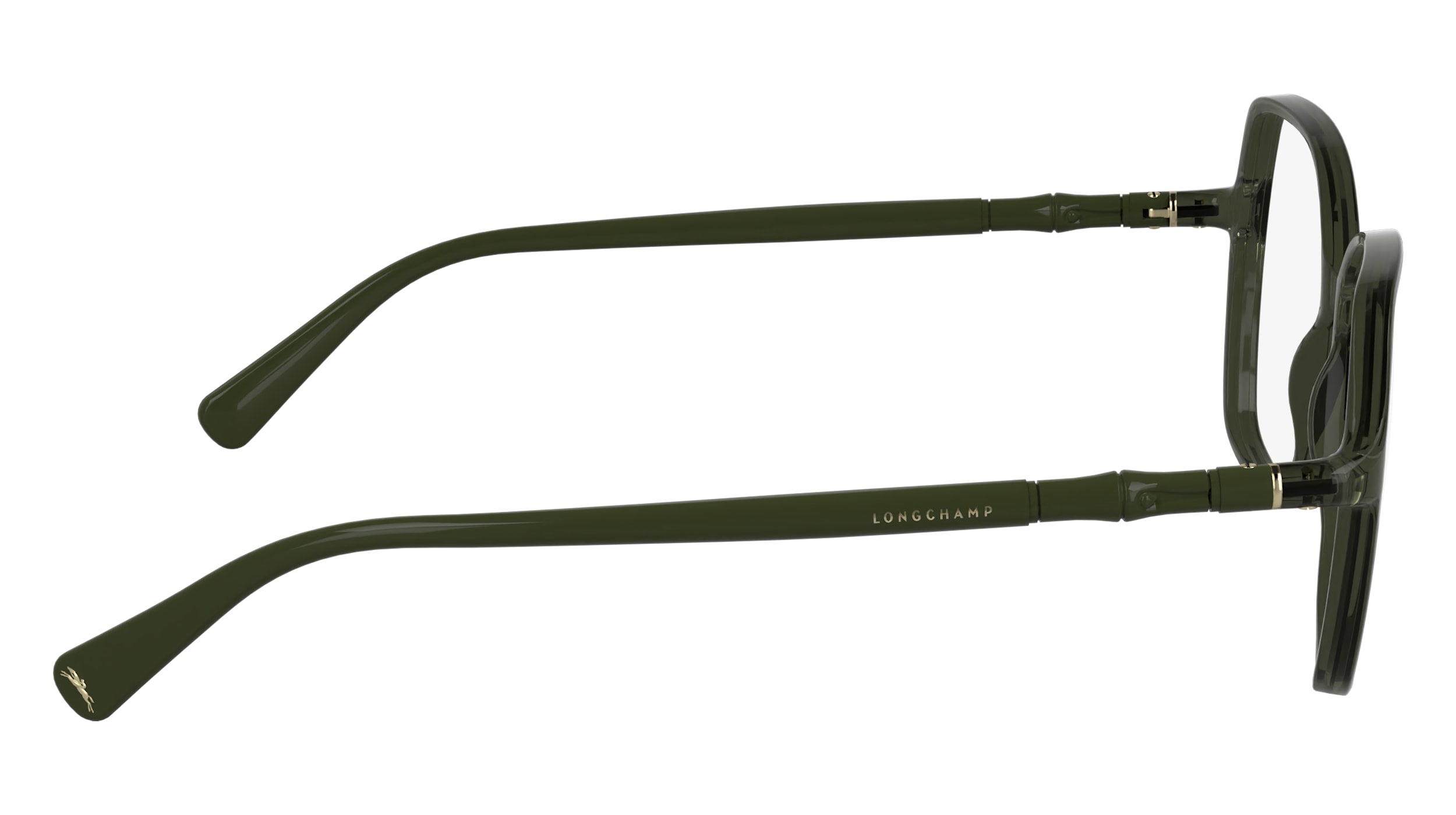 LONGCHAMP LO2769 300 55