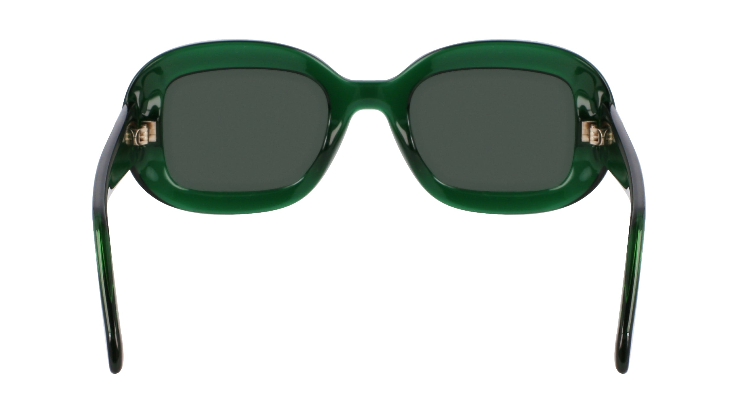 FERRAGAMO SF2038SE 317 51