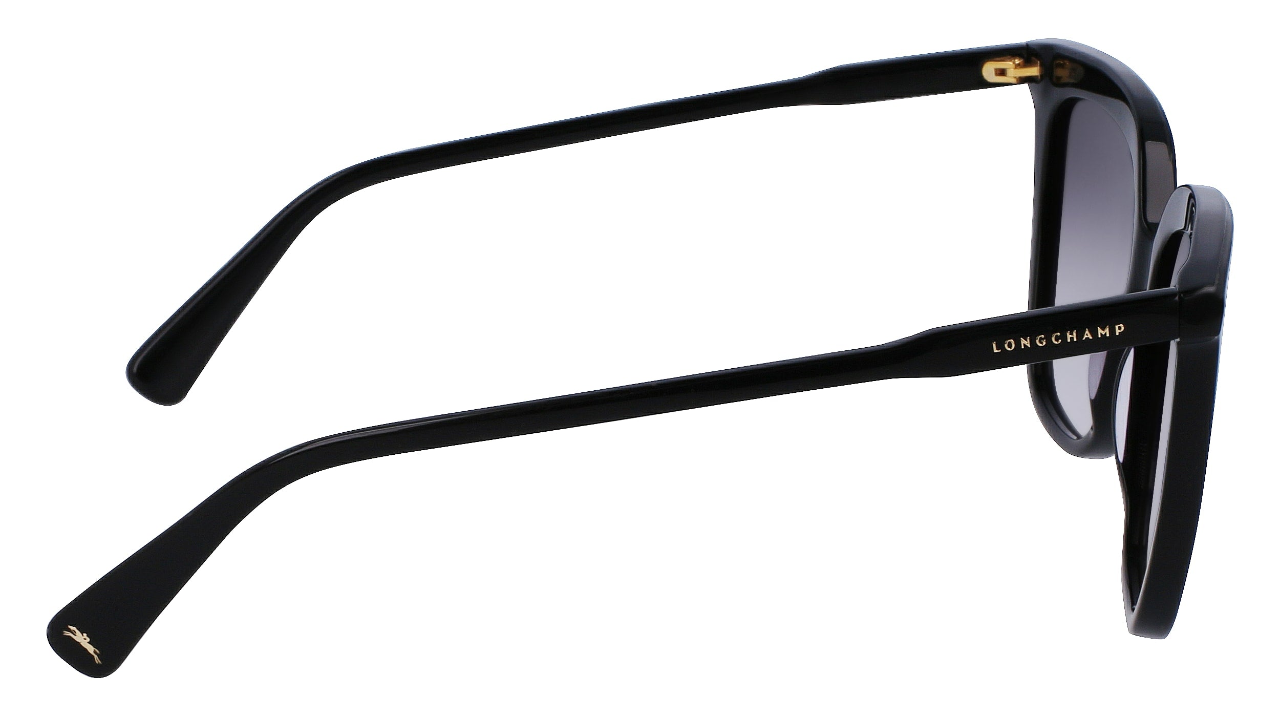 LONGCHAMP LO728S 001 53