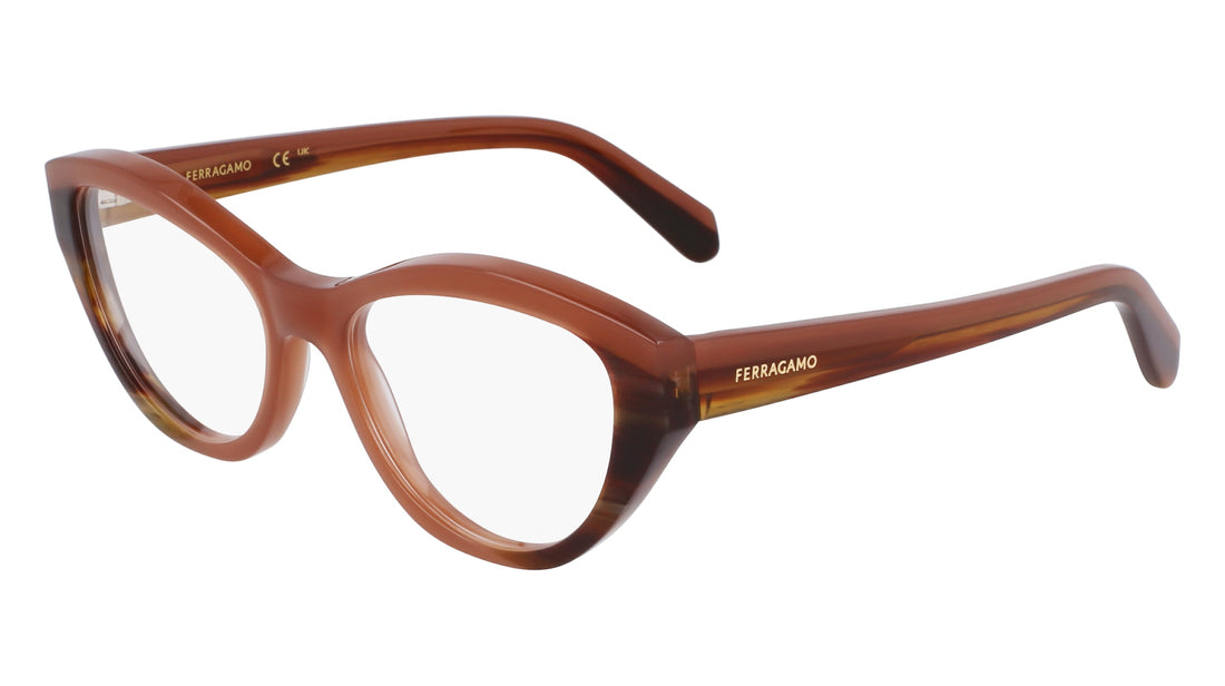 Óculos graduados ferragamo sf3011 254 marron femenino tamanho 53mm - Vista principal