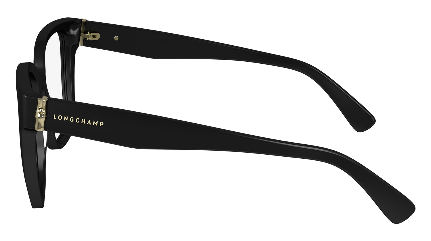 LONGCHAMP LO2745 001 54