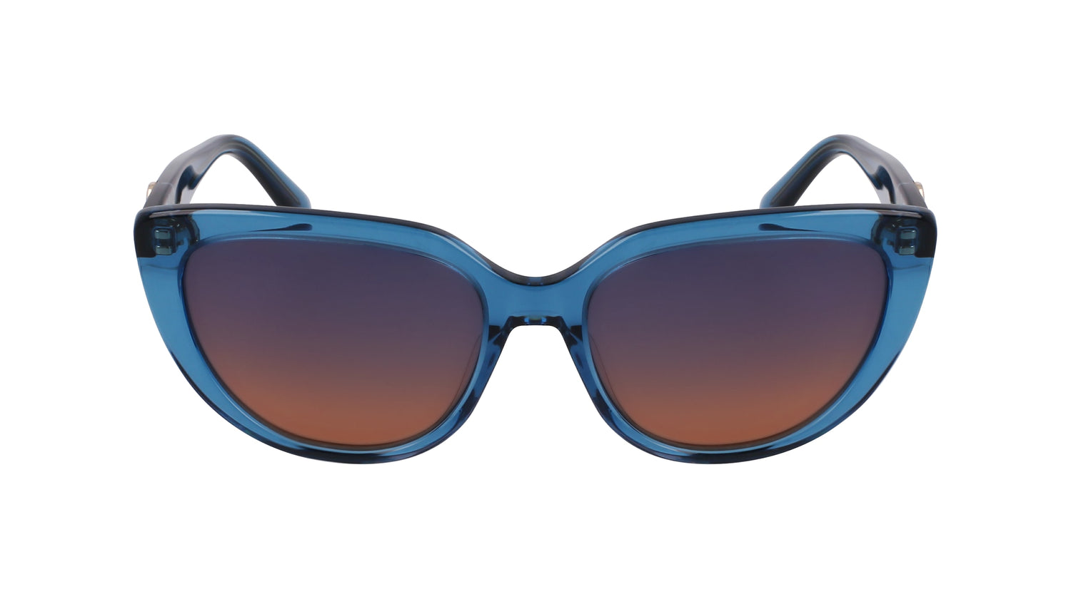 LONGCHAMP LO766S 400 53